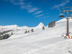 Winterimpressionen_Jan_HKR9289