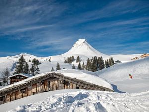 Winterimpressionen_Jan_HKR9392