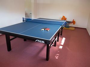 Tischtennis_1
