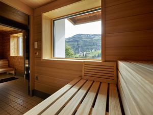 Alpenblume_9-2015_02