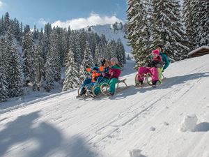 Rodeln_Damüls_April_2017_DSC6574