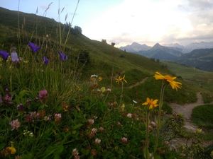 Sommer (4)