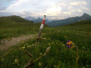 Sommer (7)