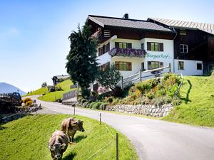 Bergerhof vom Dorf