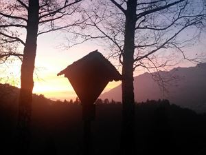 Herbststimmung im Gr. Walsertal