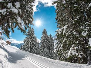 damls_loipe_hkr2035-1-web2048