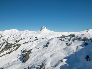 damuels_luftbild_maerz_2018_hkr7321