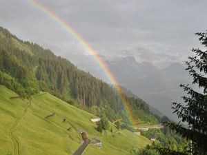 Regenbogen