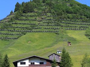 Alpenresort Walsertal_ Chalet Sperger