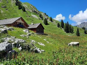Alpe Matona im Gadental