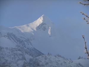 Glatthorn Wintermorgen