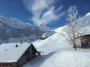 Ausblick aus dem Ess-/Kochbereich