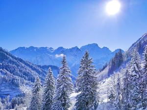 IMG_2147483647 (1500)