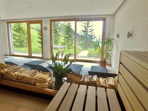 Traumsicht Faschinajoch Wellnessbereich Finnische