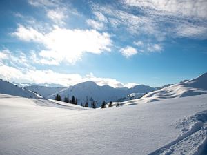 Winterimpressionen ©huber Images - Damüls Faschina