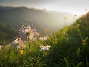 1307-A80102-700-3234