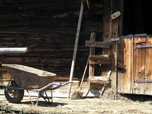 faschina juli 07 011