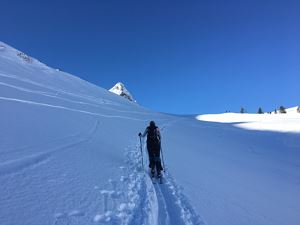 IMG_4419