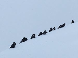 B167E08A-8DED-4986-BEF2-505E4399B358