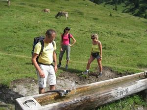 das wunderbare frische Bergwasser