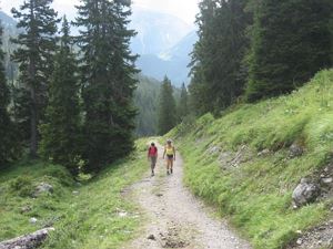 die gepflegten Wanderwege