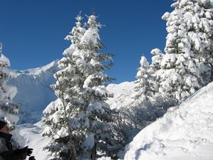 diese herrliche Ruhe