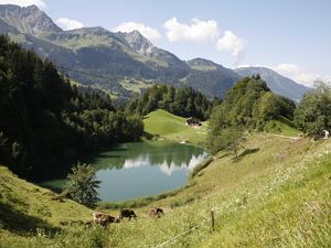 Sommerimpressionen - Seewaldsee