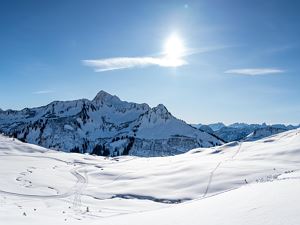 Freeriden in Oberdamüls, Skigebiet Damüls-Mellau (