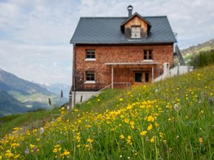 Blumenwiese vorm Haus
