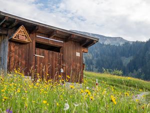 Schuppen