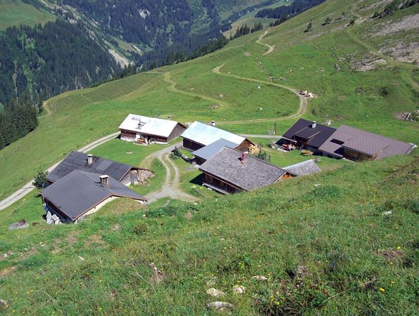 Alpe Türtsch