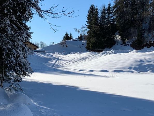 Seewaldsee schneebedeckt