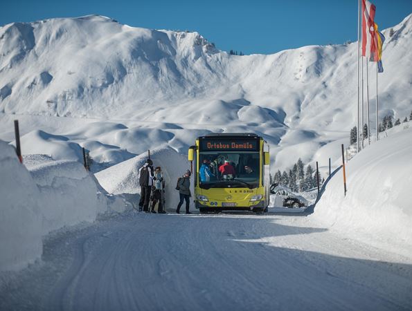 Bus