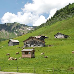 Alpe Tiefenwald
