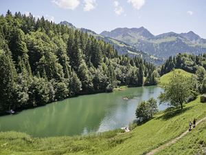 Blick über den Seewaldsee