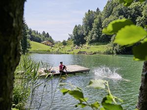 Seewaldsee