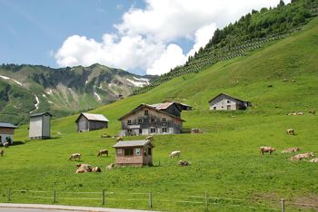 Alp- & Sennereibesichtigung auf der Alpe Tiefenwald
