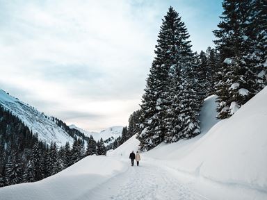 Loipen- und Winterwanderwege