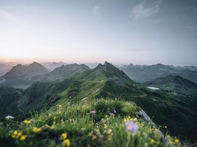 Veranstaltungskalender Sommer