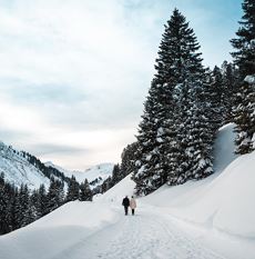 Cross-country ski trails and winter hiking trails
