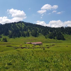 Damüls | Mellau nach Damüls