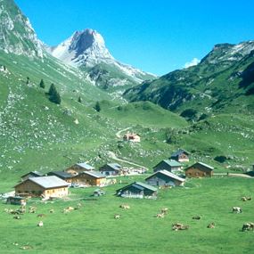 Rundtour um das Breithorn | Marul - Raggal