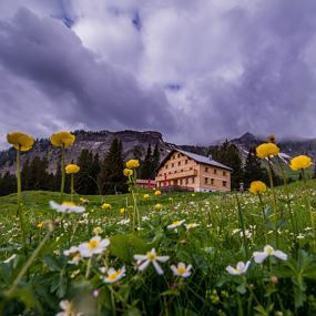 Damüls | Rundtour um die Kanisfluh