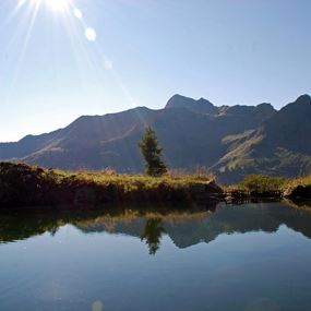 Damüls | Über die Unterdamülser Alpe auf's Glatthorn