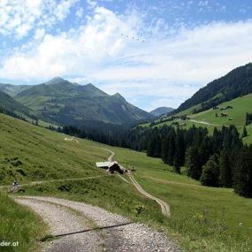 Damüls | Rundtour nach Au