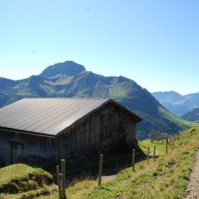 Damüls | Brandalpe über die Hängebrücke