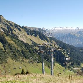 Damüls Faschina | Blumen-Wanderlehrpfad
