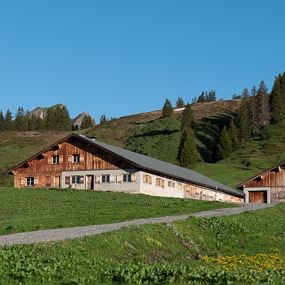 Damüls | Von der Elsenalp zum Alpengasthaus Edelweiß