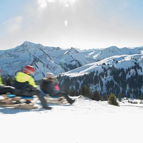Damüls | Natur-Rodelbahn Uga