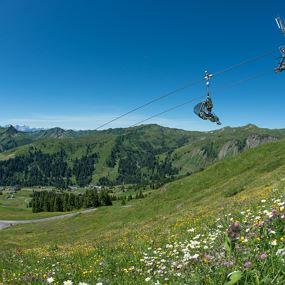 Damüls | Von der Elsenalp ins Tal